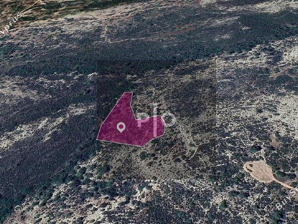 land for sale anogyra limassol 8275094 image 15157459