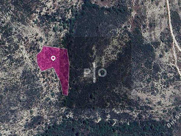 land for sale anogyra limassol 8275094 image 15157460
