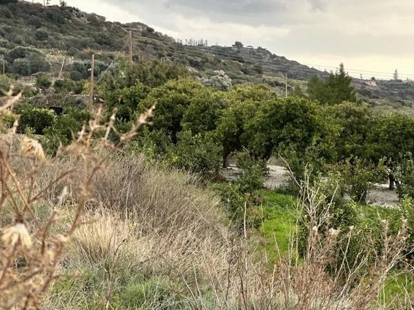 land for sale kissonerga paphos 8375094 image 14609130