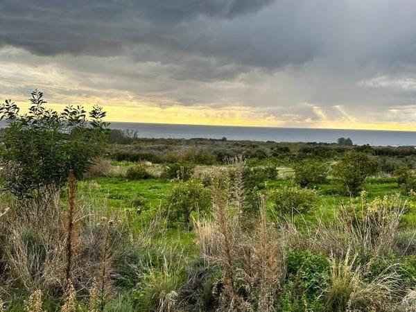 land for sale kissonerga paphos 8375094 image 14609131