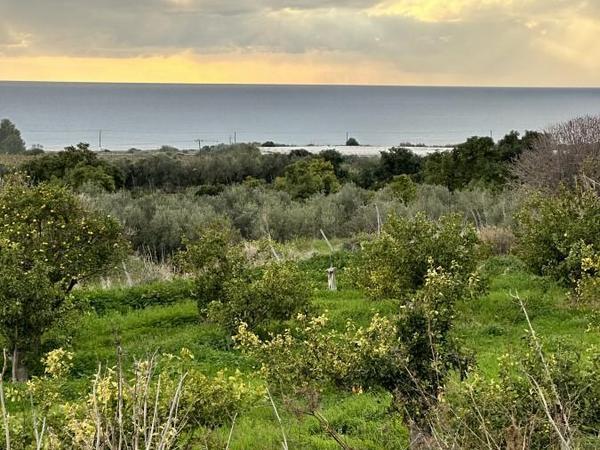 land for sale kissonerga paphos 8375094 image 14609132