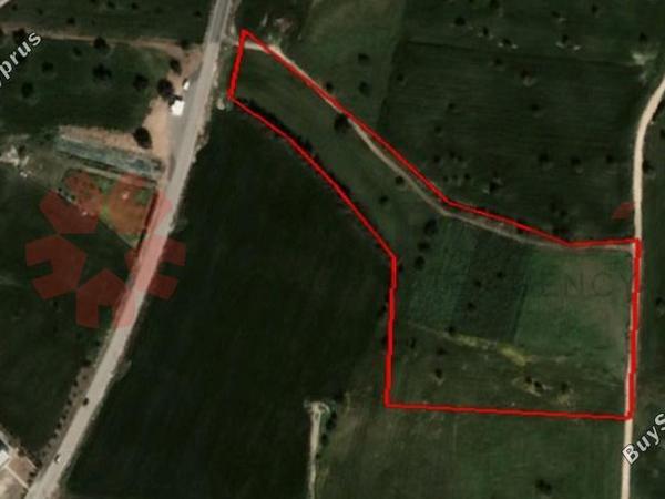 land for sale mazotos larnaca 1842094 image 6591503