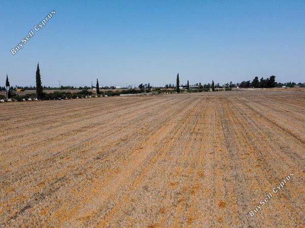 land for sale xylotymvou larnaca 7513094 image 9379957