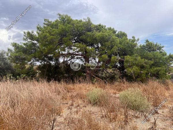 plot for sale pyrgos limassol limassol 7789094 image 16439349
