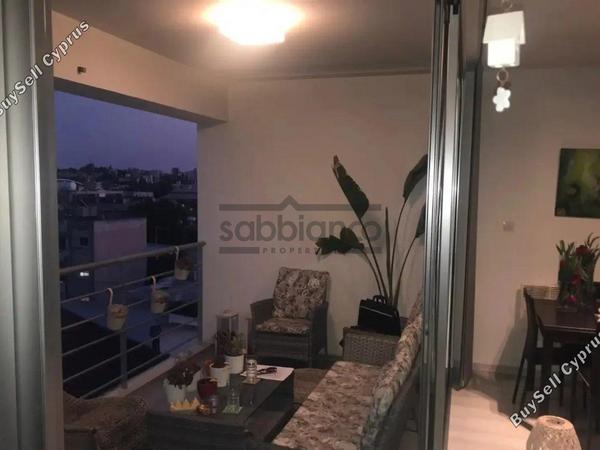 1 bedroom apartment for rent pallouriotissa nicosia 8749194 image 16473545