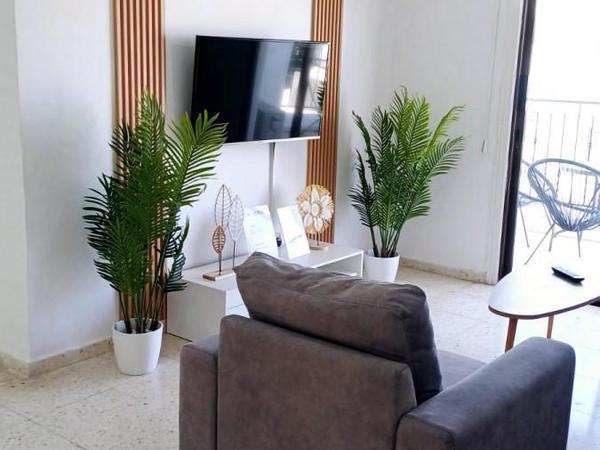 2 bedroom apartment for rent kato paphos paphos 8653194 image 16175778