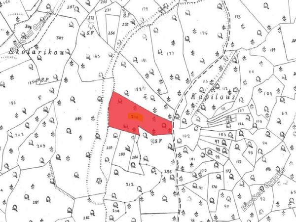 land for sale archimandrita paphos 8711194 image 17010997