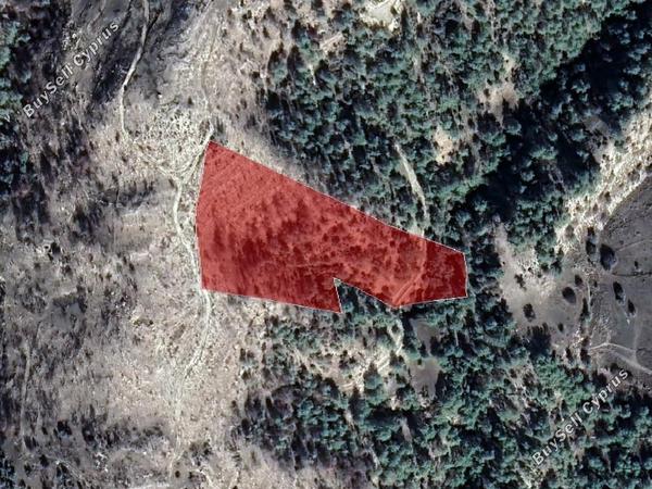 land for sale archimandrita paphos 8711194 image 17011000