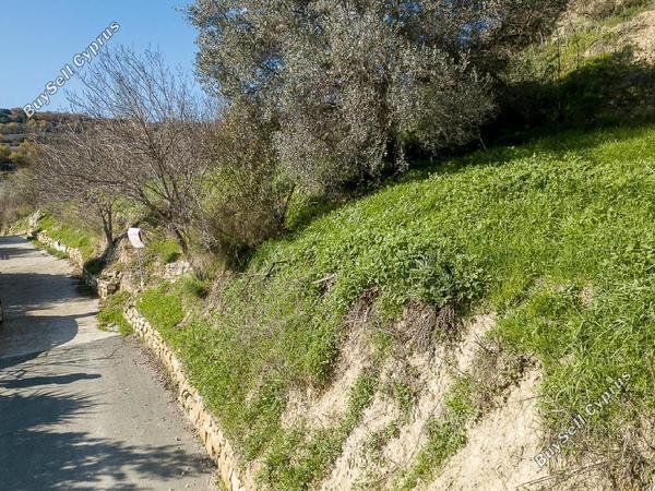 land for sale kallepeia paphos 823194 image 16009608