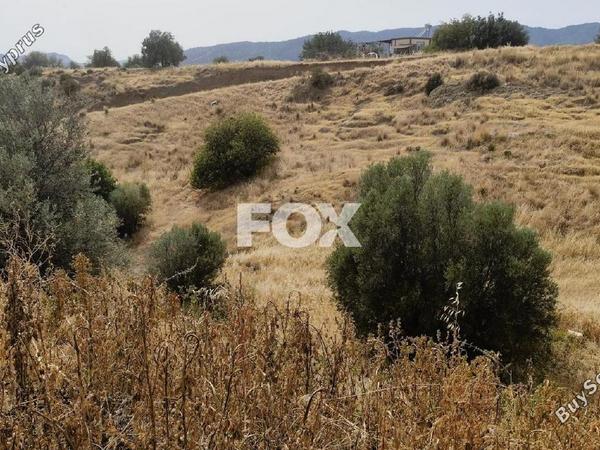land for sale parekklisia limassol 1185194 image 9337270
