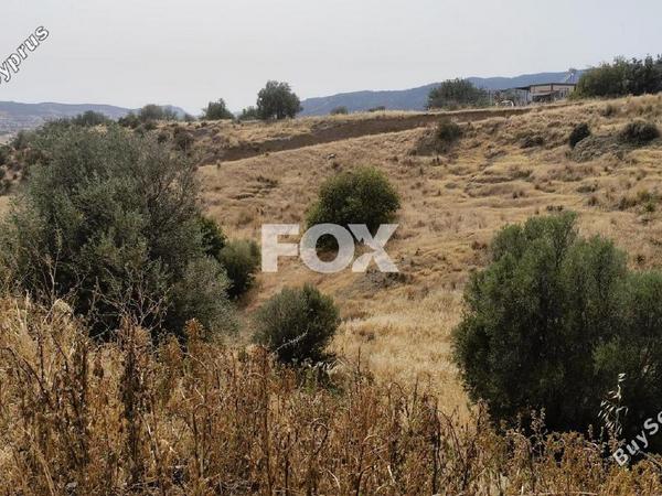 land for sale parekklisia limassol 1185194 image 9337272