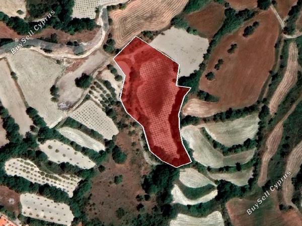 land for sale polemi paphos 8630194 image 17011539