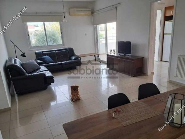 3 bedroom apartment for rent strovolos nicosia 8748294 image 16462144