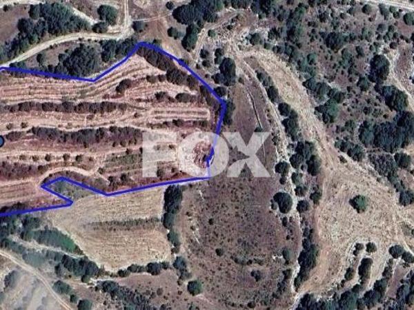 land for sale amargeti paphos 1506294 image 5630238