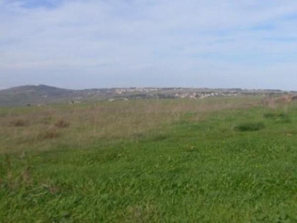 land for sale kathikas paphos 8395294 image 14818302