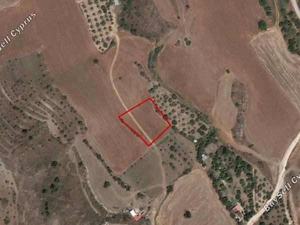 land for sale mitsero nicosia 953294 image 15664153