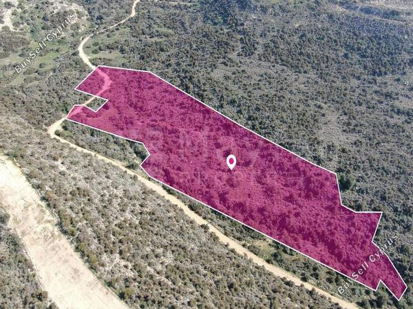 plot for sale psematismenos larnaca 8434294 image 15007483