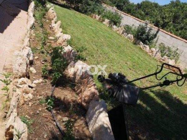 3 bedroom detached house for sale latsi paphos 1159394 image 5522714