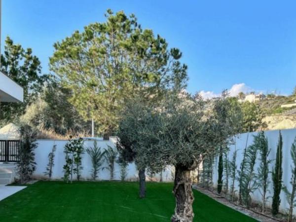 4 bedroom detached house for rent agios tychonas limassol 8681394 image 16951028