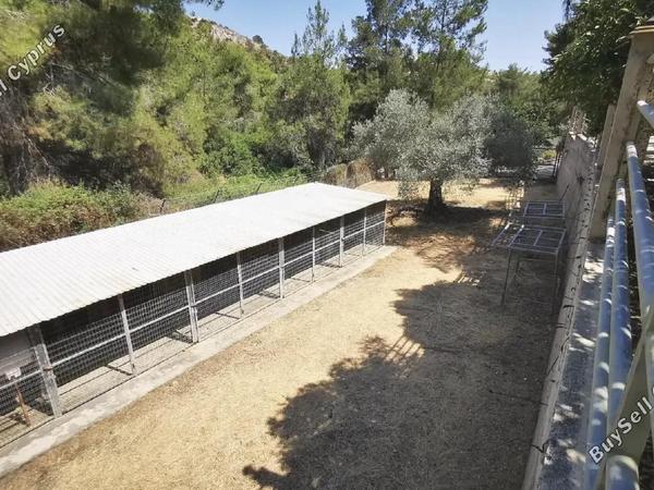 4 bedroom detached house for sale anglisides larnaca 8090394 image 13164190