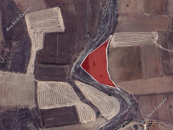 land for sale potami nicosia 1336394 image 3344656