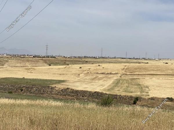 land for sale potami nicosia 1336394 image 3344657