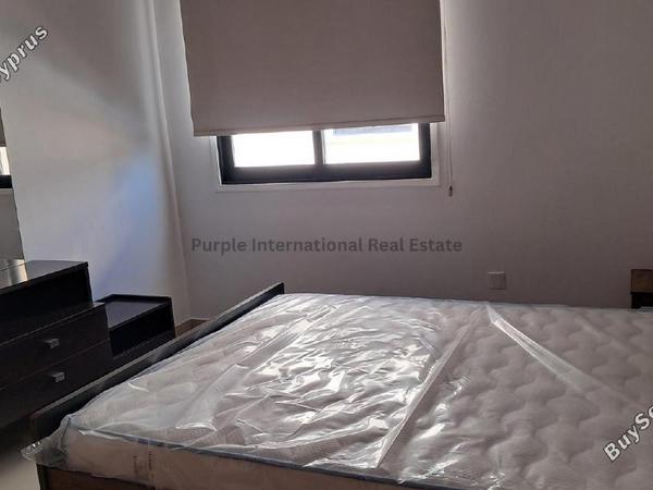 2 bedroom apartment for rent oroklini larnaca 8798494 image 16716338