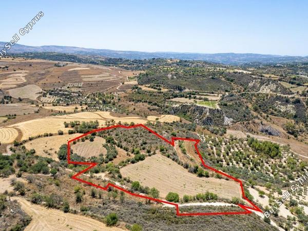 land for sale drynia paphos 941494 image 15869230