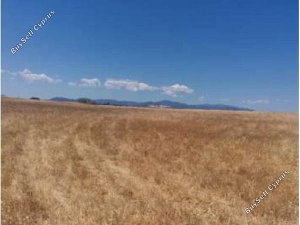 land for sale palaiometocho nicosia 1158494 image 2991011