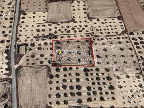 plot for sale athienou larnaca 1305494 image 5763137