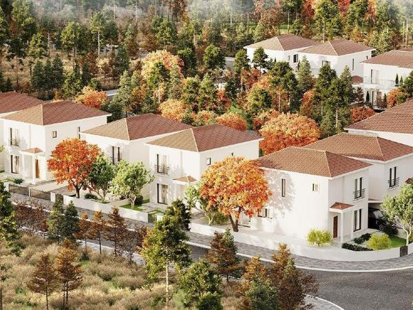 3 bedroom detached house for sale koloni paphos 1285594 image 16864082