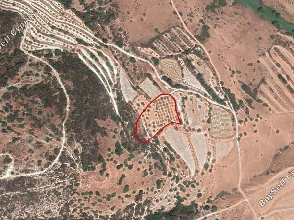 land for sale kallepeia paphos 906594 image 2808284
