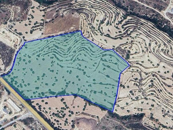 land for sale paramytha limassol 1546594 image 5876665