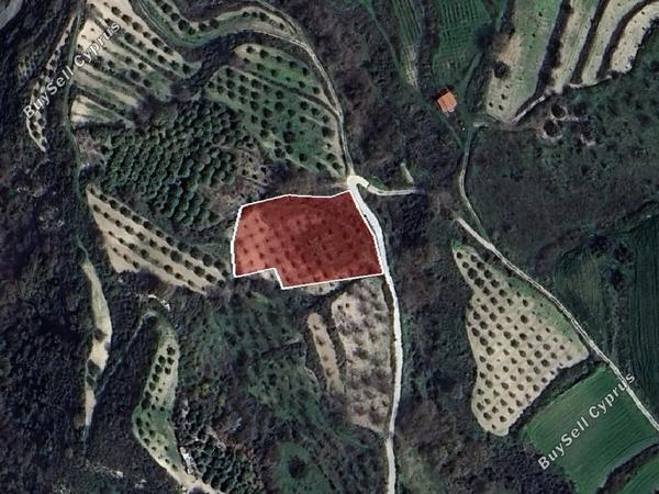 land for sale theletra paphos 8244594 image 15596176