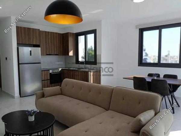 2 bedroom apartment for rent livadia larnacas larnaca 8741694 image 16395466