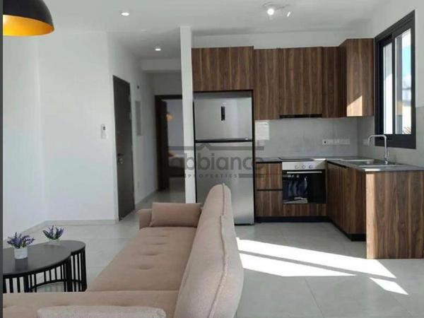 2 bedroom apartment for rent livadia larnacas larnaca 8741694 image 16395467