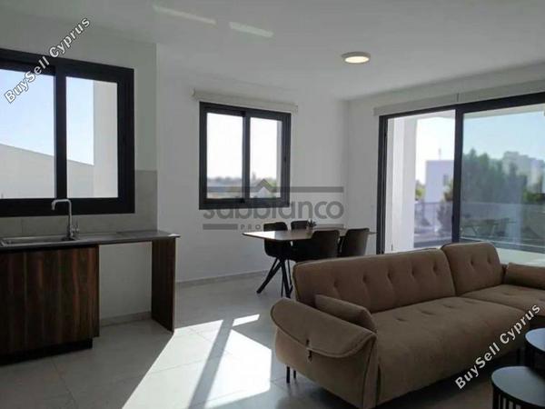 2 bedroom apartment for rent livadia larnacas larnaca 8741694 image 16395469