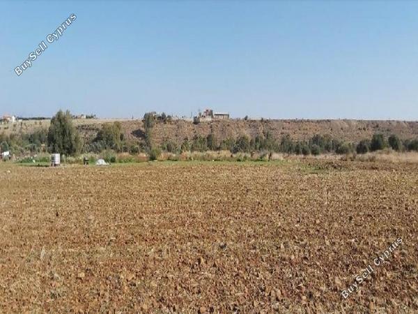 land for sale orounta nicosia 945694 image 15600792