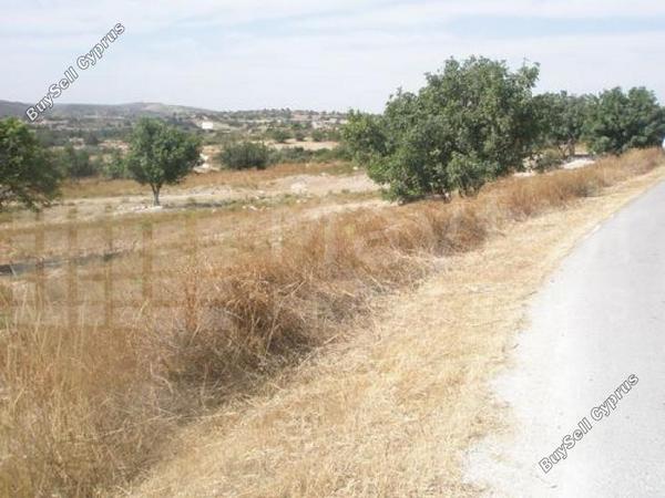 land for sale skarinou larnaca 7870694 image 11378967