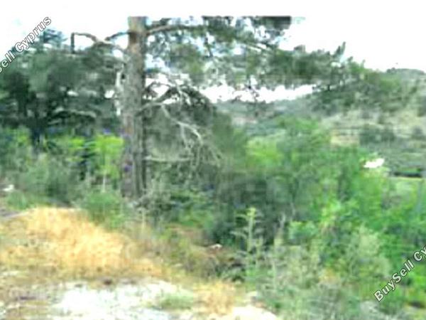 land for sale tsakistra nicosia 829694 image 6572144