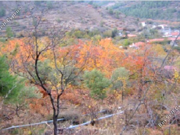 land for sale tsakistra nicosia 829694 image 6572146
