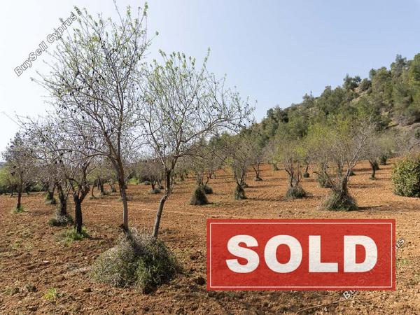 land sold gourri nicosia 1216694 image 3631756