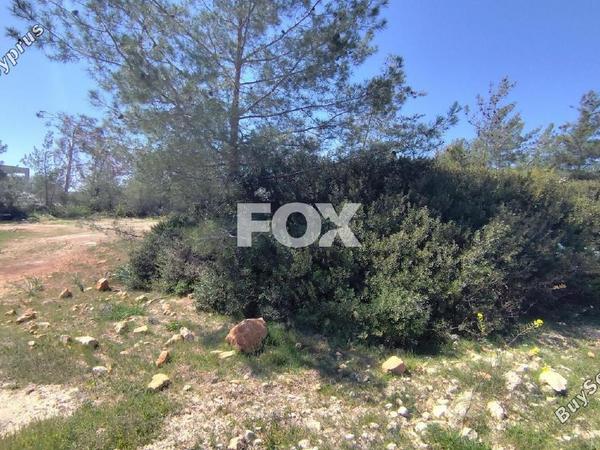 plot for sale paramali limassol 1146694 image 5501043