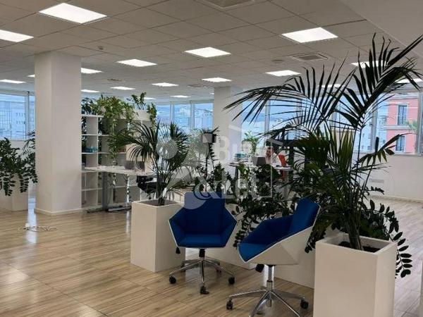 studio office for rent linopetra limassol 8699694 image 17185503
