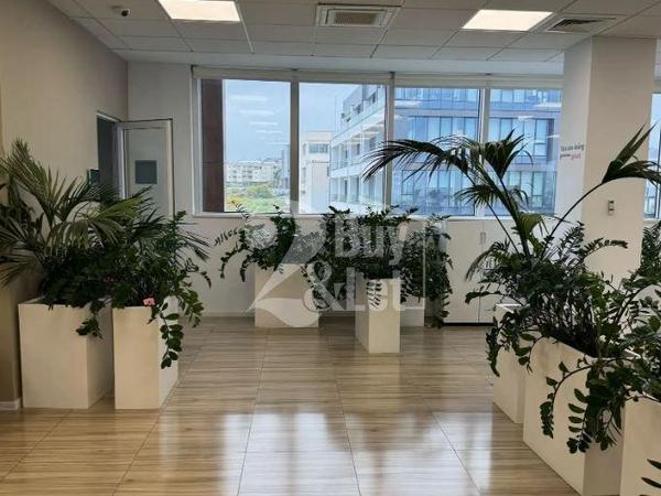 studio office for rent linopetra limassol 8699694 image 17185506