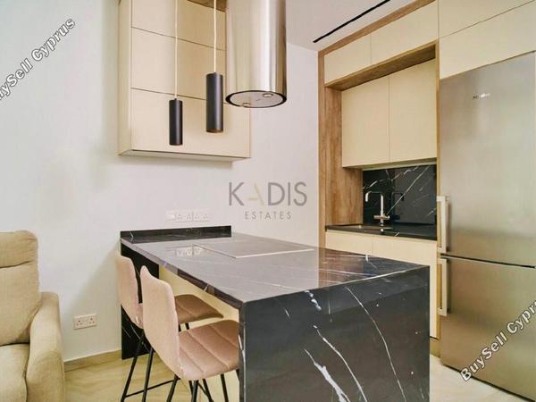 1 bedroom apartment for rent potamos germasogeias limassol 1756794 image 16337883
