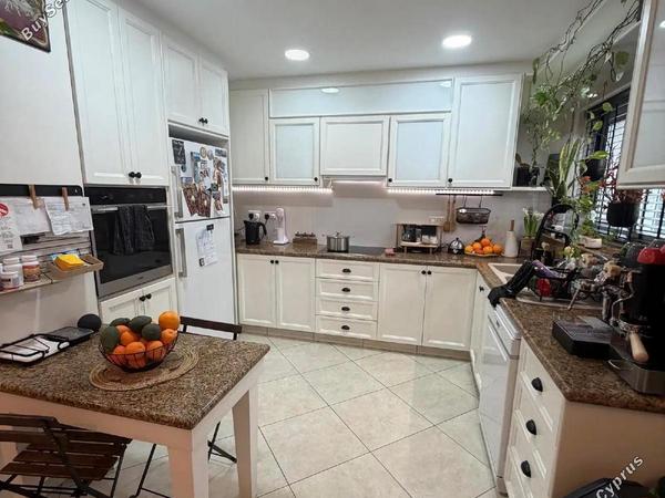3 bedroom detached house for sale kapsalos limassol 8495794 image 15313824