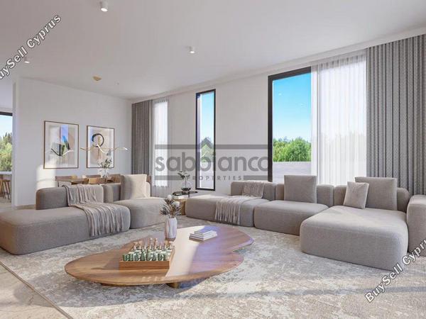 3 bedroom detached house for sale mesogi paphos 8740794 image 16386118