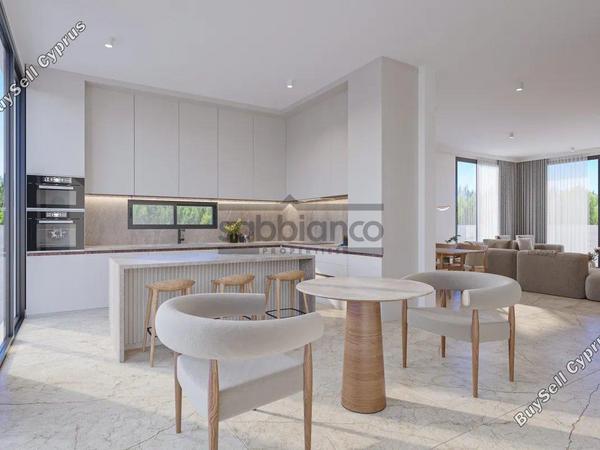 3 bedroom detached house for sale mesogi paphos 8740794 image 16386120