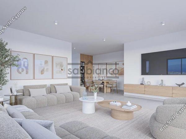 3 bedroom detached house for sale mesogi paphos 8740794 image 16386123